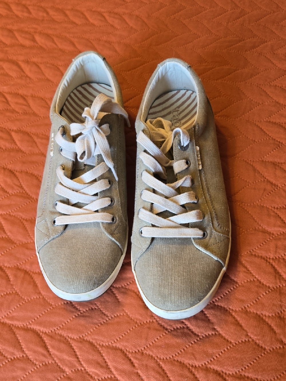 Taos Star Khacki Canvas Sneakers